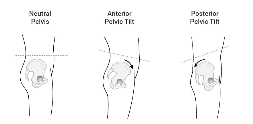 Anterior And Posterior Pelvic Tilt Anatomy Anterior And Posterior Pelvic Tilt Anatomy